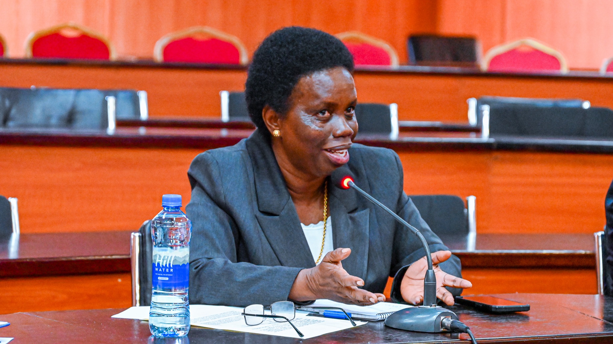 PPP KUIMARISHA UTEKELEZAJI WA MIRADI MIKUBWA YA MAENDELEO